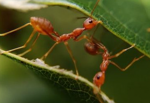 Screen Shot 2021 05 05 At 22930 Pm