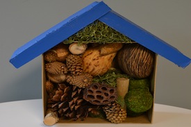 Image Craft15 Bug House