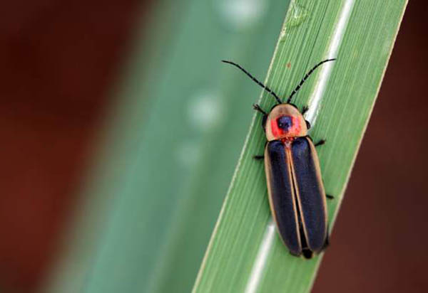 Istock 000006739210Medium