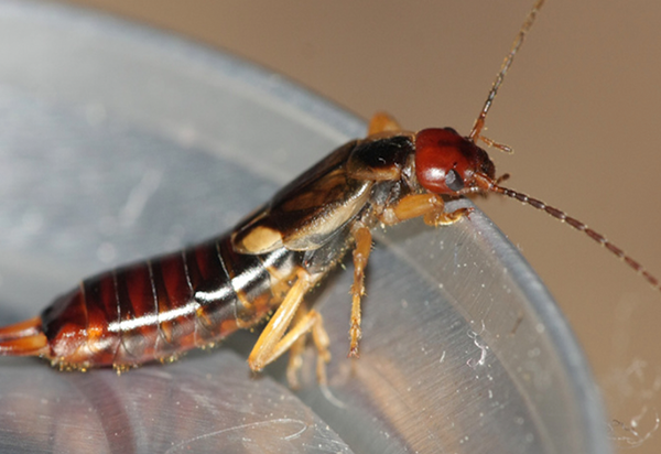 Screen Shot 2021 05 05 At 23351 Pm