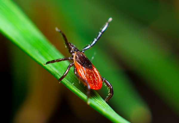 Screen Shot 2021 05 05 At 23634 Pm