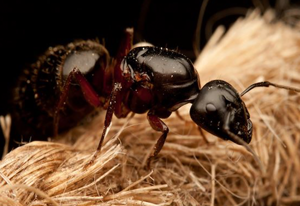 Screen Shot 2021 05 05 At 23745 Pm